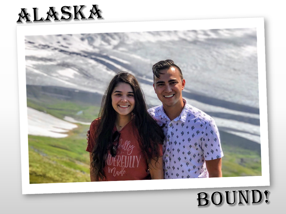 Swans Are Alaska Bound!