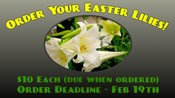Order Your 2023 EASTER LILIES!