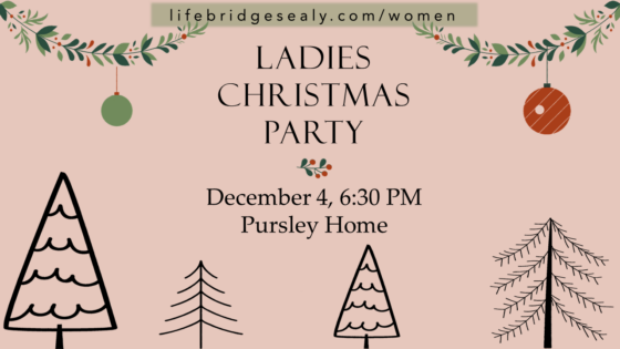 Ladies Christmas Party!