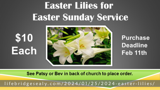 Order Your 2024 EASTER LILIES!