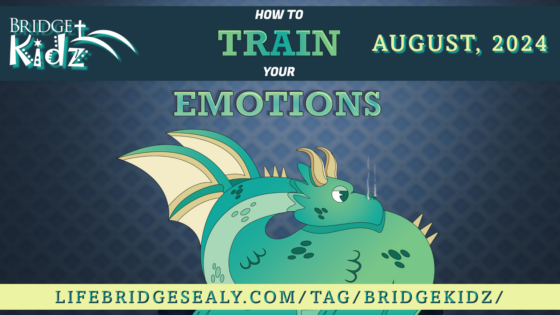 “How to Train Your Emotions” – A BridgeKidz Series
