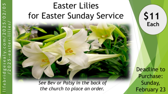 Order Your 2025 EASTER LILIES!