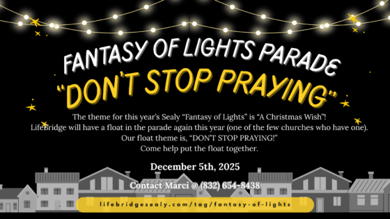 2025 Fantasy of Lights — “A Christmas Wish”